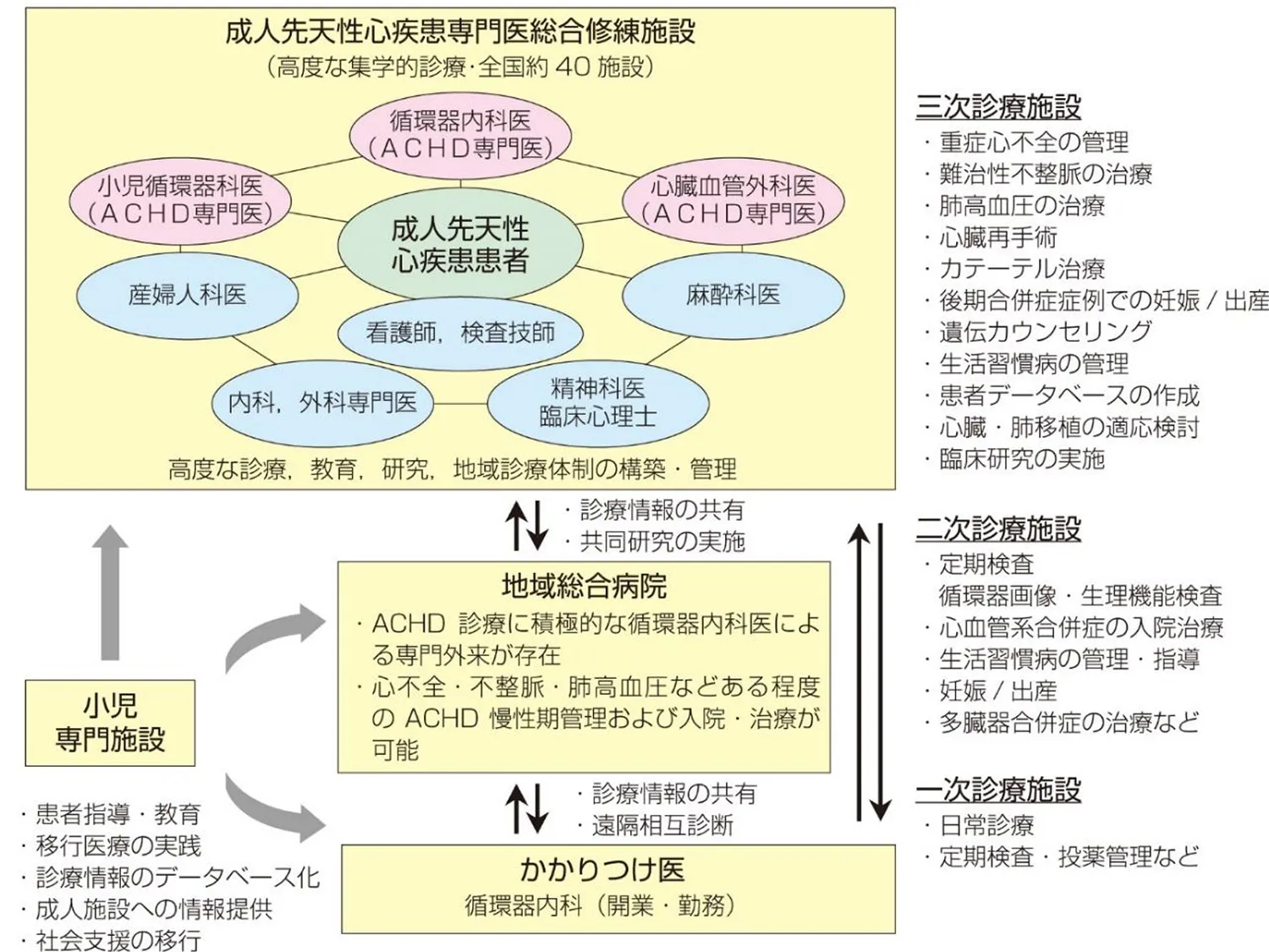 循環器内科-ACHD診療体制（ネットワーク）