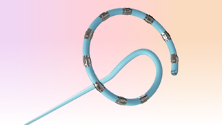 カテ４