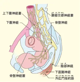 ロボット支援下大腸切除術④
