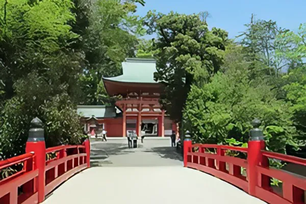 高度救命救急センターレジデント募集-10